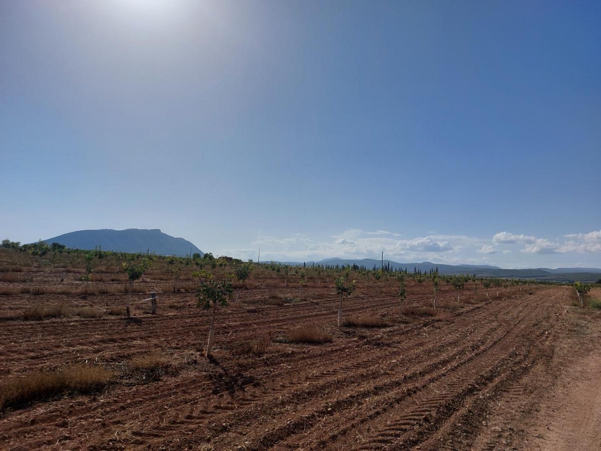 Casa Rural "La Villa Del Pistacho" Archivel Eksteriør bilde